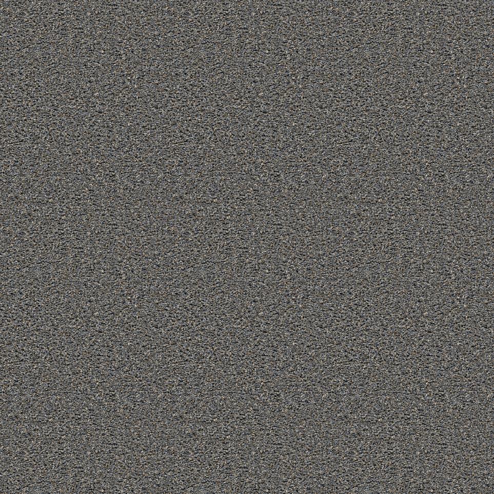 Texture Imperial Gray Carpet