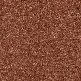 Textured Saxony Desert Flower Red Carpet