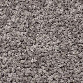Berber Truffle Gray Carpet