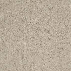 Textured Saxony Linen Tweed Beige/Tan Carpet