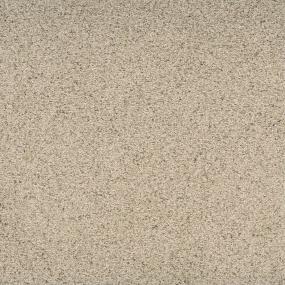 Textured Saxony Robust Beige/Tan Carpet