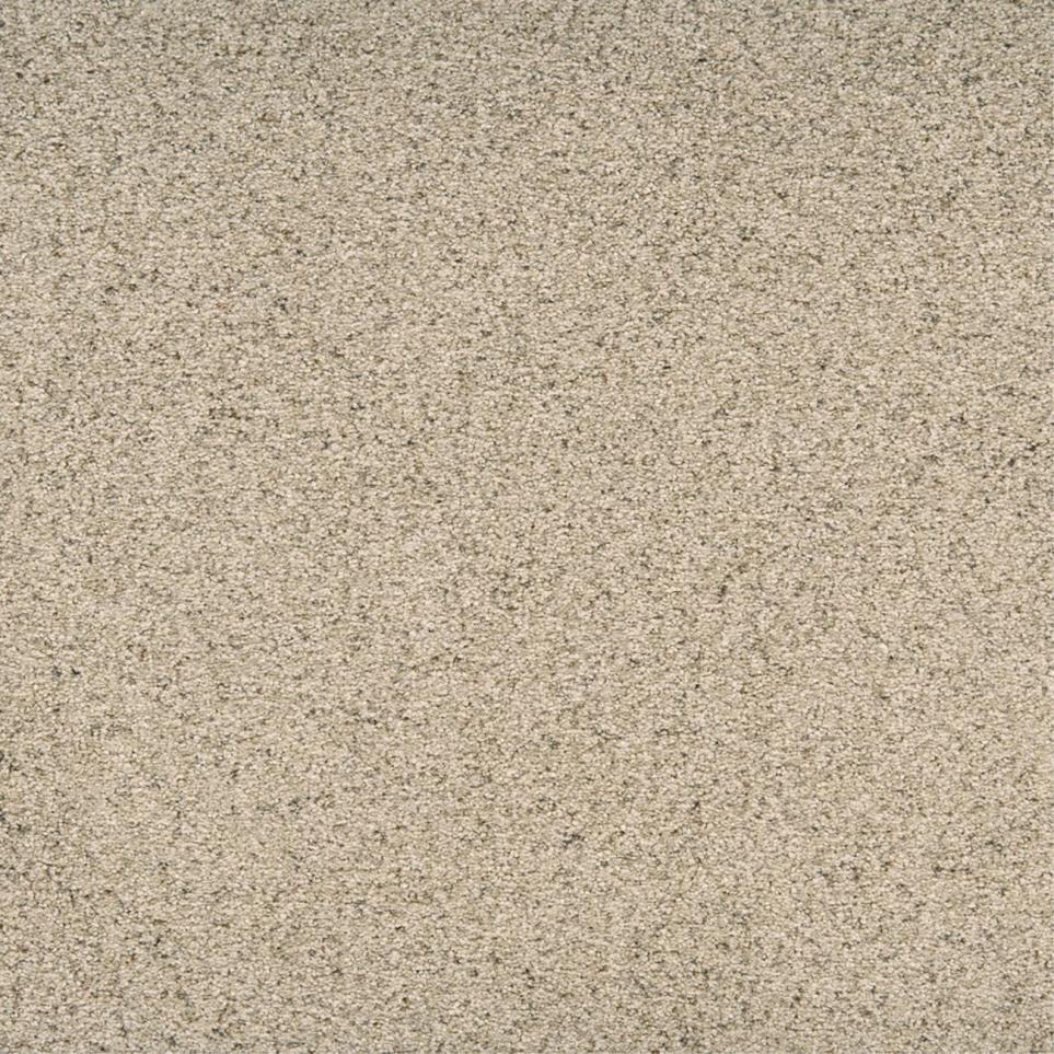 Textured Saxony Robust Beige/Tan Carpet