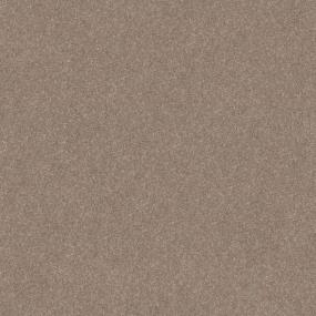 Plush Tawny Beige/Tan Carpet