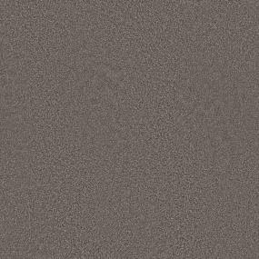 Textured Saxony Sepia Brown Carpet