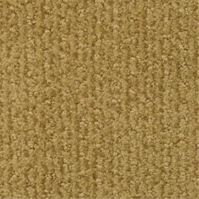 Pattern Golf Stroke Beige/Tan Carpet