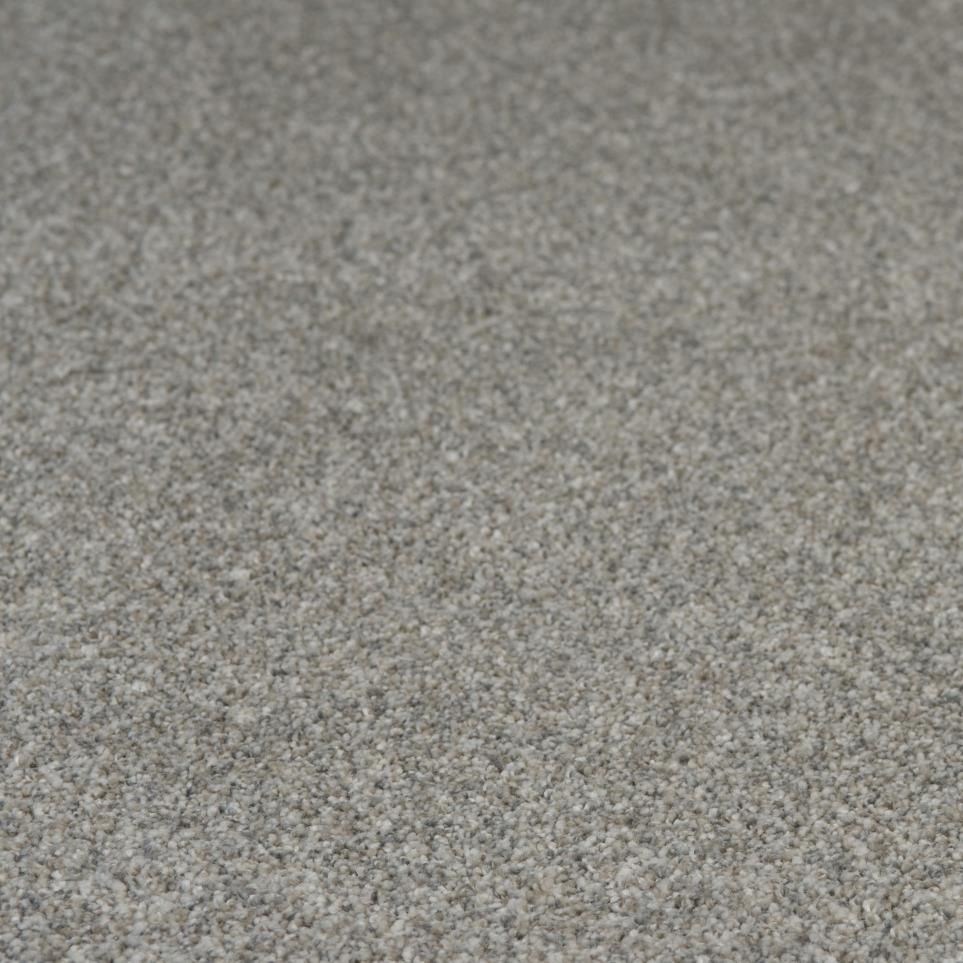 Textured Saxony Main Stay Beige/Tan Carpet