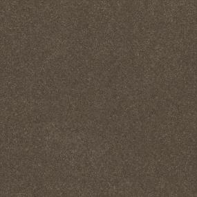 Textured Saxony Earth Tone Brown Carpet