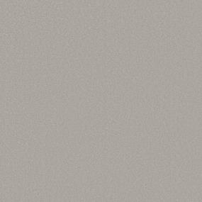 Textured Saxony Stucco Beige/Tan Carpet