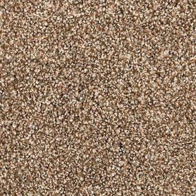 Textured Saxony Sandy Clay Brown Carpet