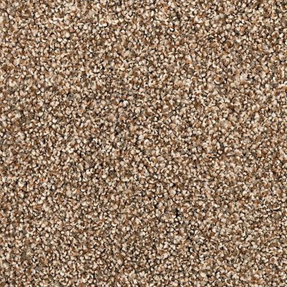 Textured Saxony Sandy Clay Brown Carpet