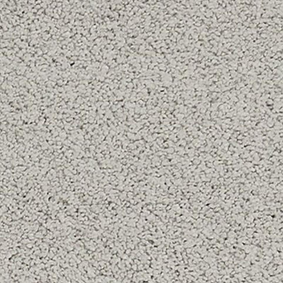 Textured Saxony Sandstone Gray Carpet