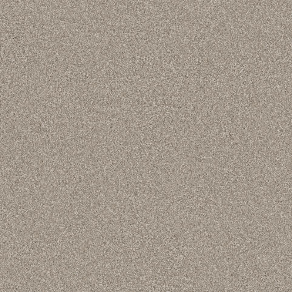 Casual Texture Mesa Beige/Tan Carpet