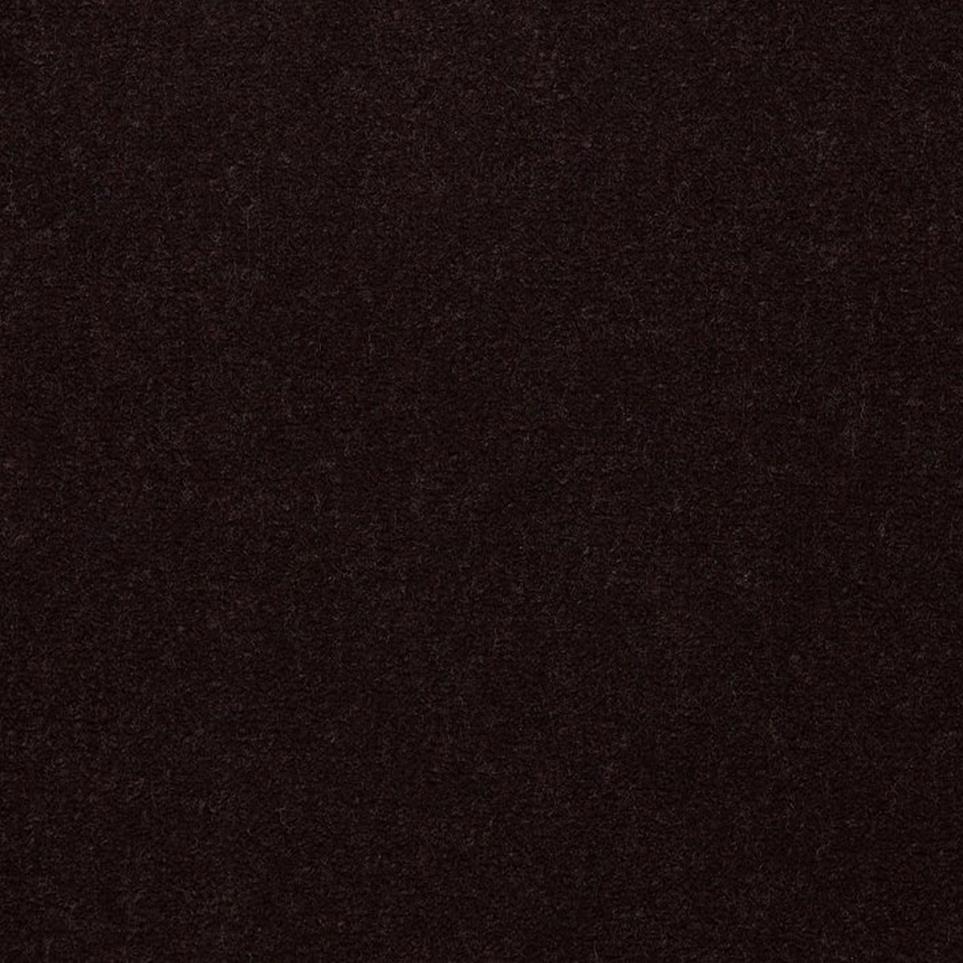 Cut Pile Moccasin Black Carpet