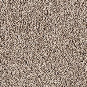 Textured Saxony Regal Brown Carpet