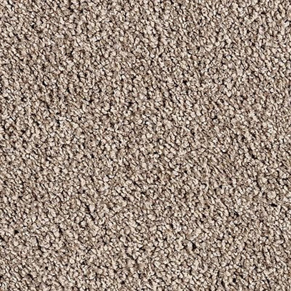 Textured Saxony Regal Brown Carpet