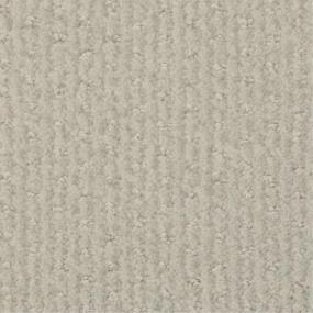 Pattern Birdie Beige/Tan Carpet