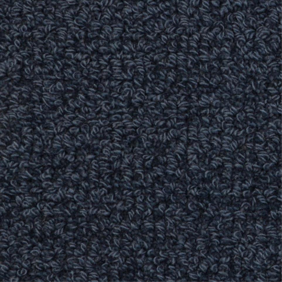 Loop Lerman Blue Carpet