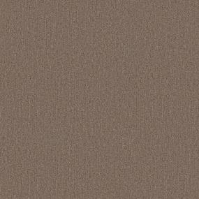Loop Shower Beige/Tan Carpet