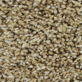 Textured Saxony Warm Sand Beige/Tan Carpet
