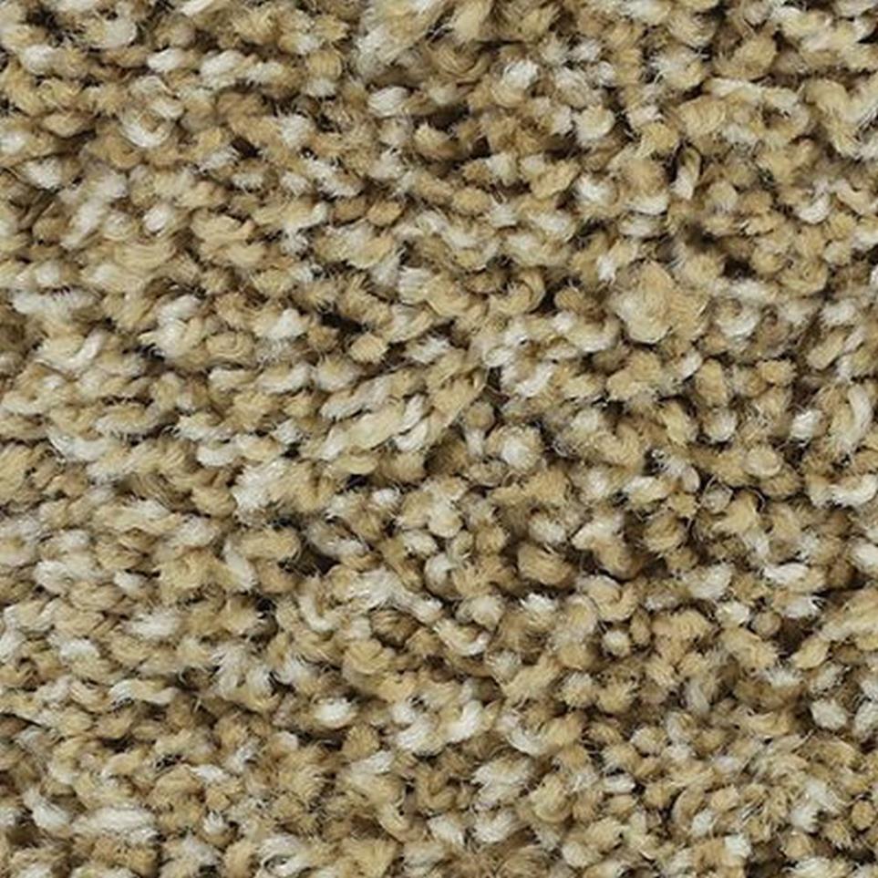 Textured Saxony Warm Sand Beige/Tan Carpet