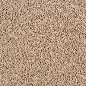 Cut Pile True Khaki Beige/Tan Carpet
