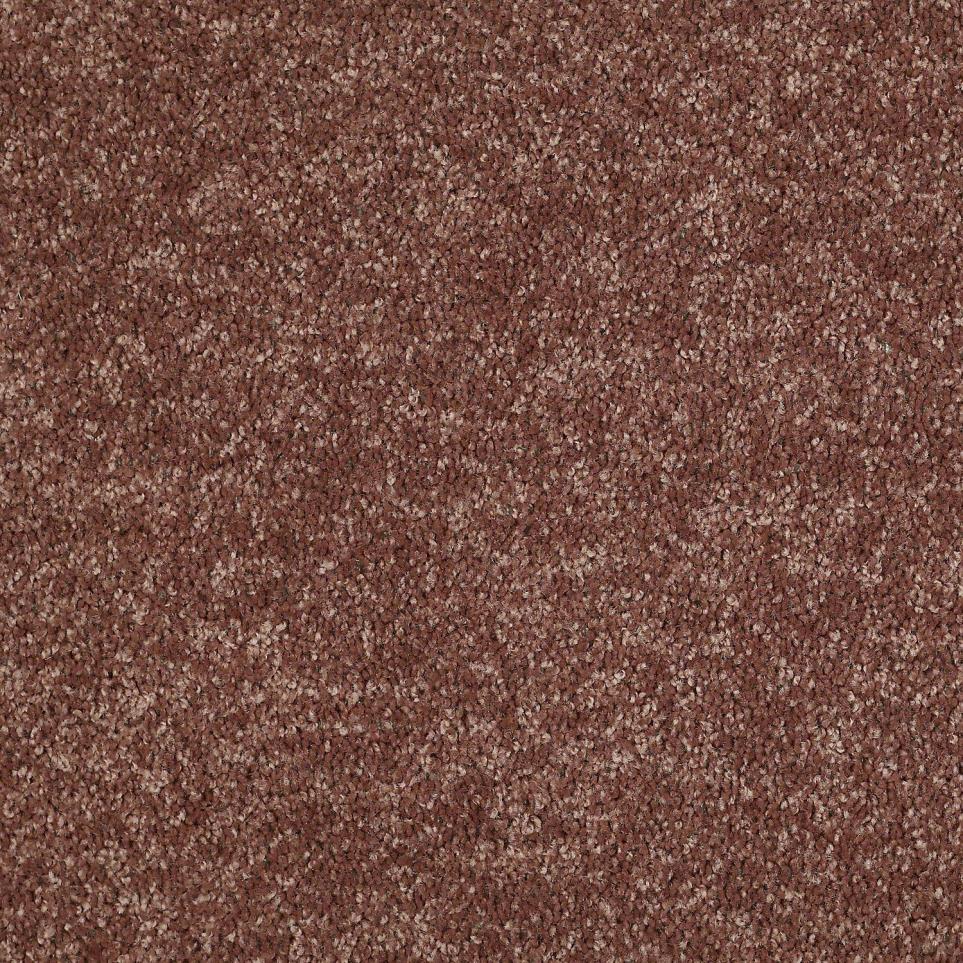 Textured Saxony Dutch Mocha Brown Carpet