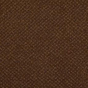 Pattern Bugle Brown Carpet
