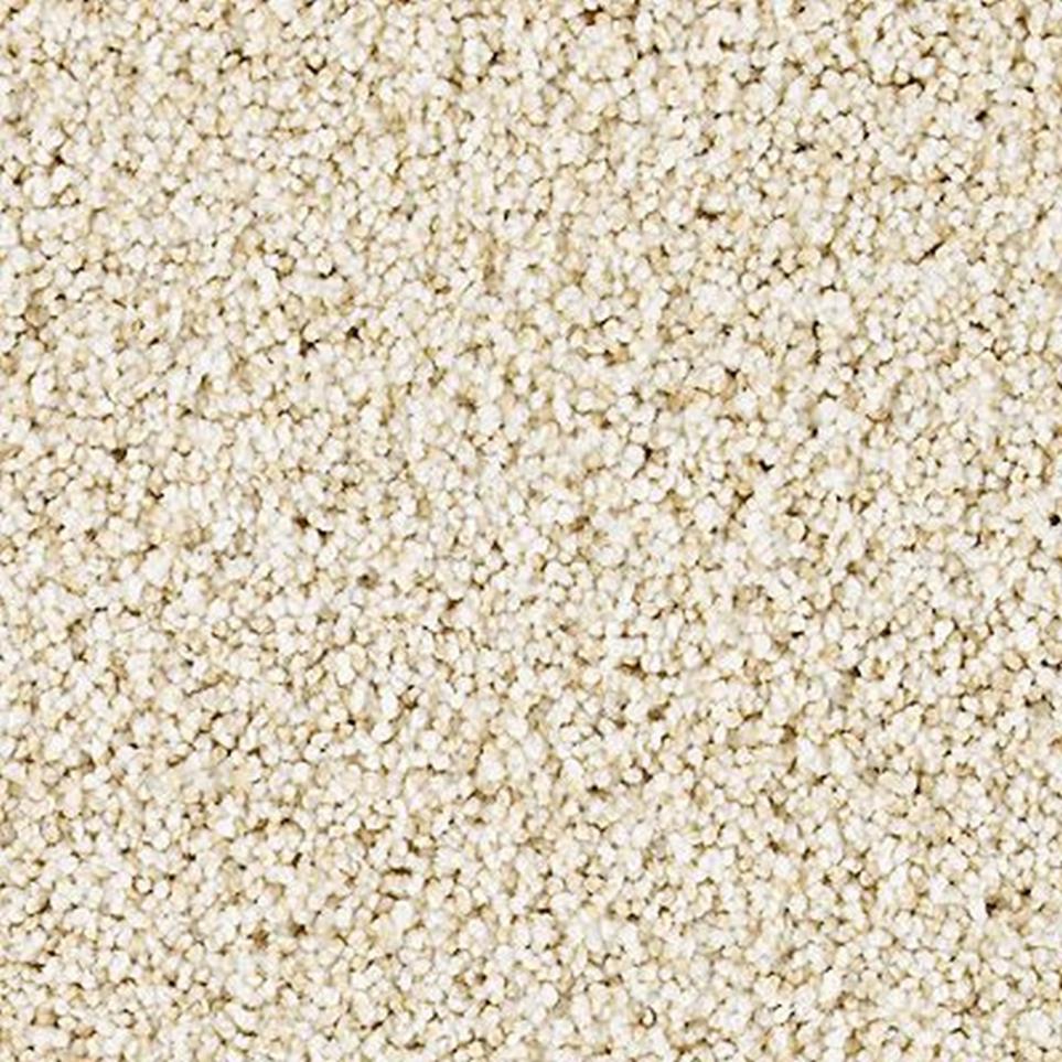 Textured Saxony Serenity Beige/Tan Carpet