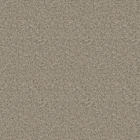 Textured Saxony Success Story Beige/Tan Carpet