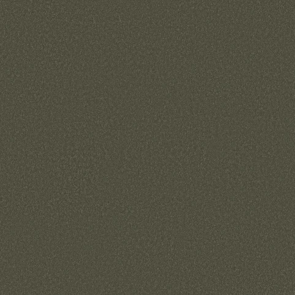 Texture Nature Scene Green Carpet