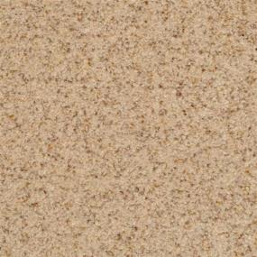 Casual Texture Oatmeal Beige/Tan Carpet