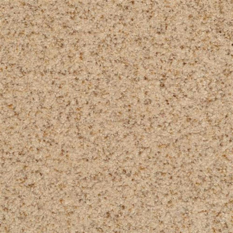 DH Floors Oatmeal Casual Texture Carpet Casual Texture Oatmeal Beige/Tan Carpet