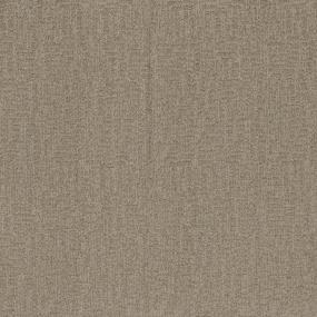 Pattern Avenue Beige/Tan Carpet