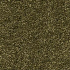 Casual Texture Verde Oliva Green Carpet