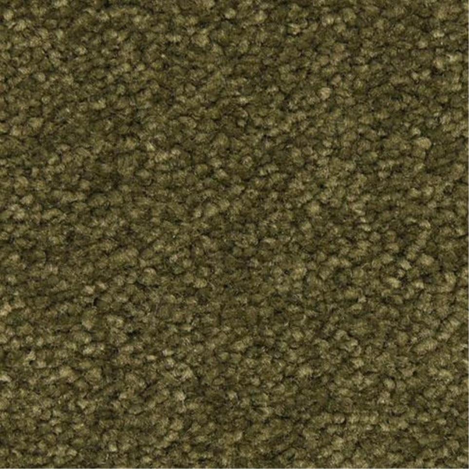 Casual Texture Verde Oliva Green Carpet