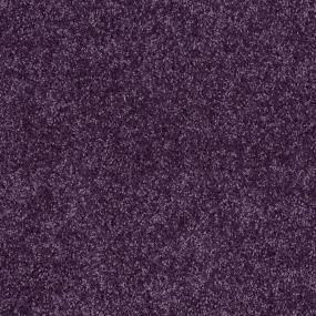 Textured Saxony Cosmic Purple Carpet