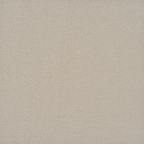 Textured Saxony Water Chestnut Beige/Tan Carpet