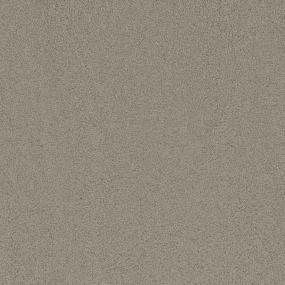 Cut Pile Brushed Fur Beige/Tan Carpet