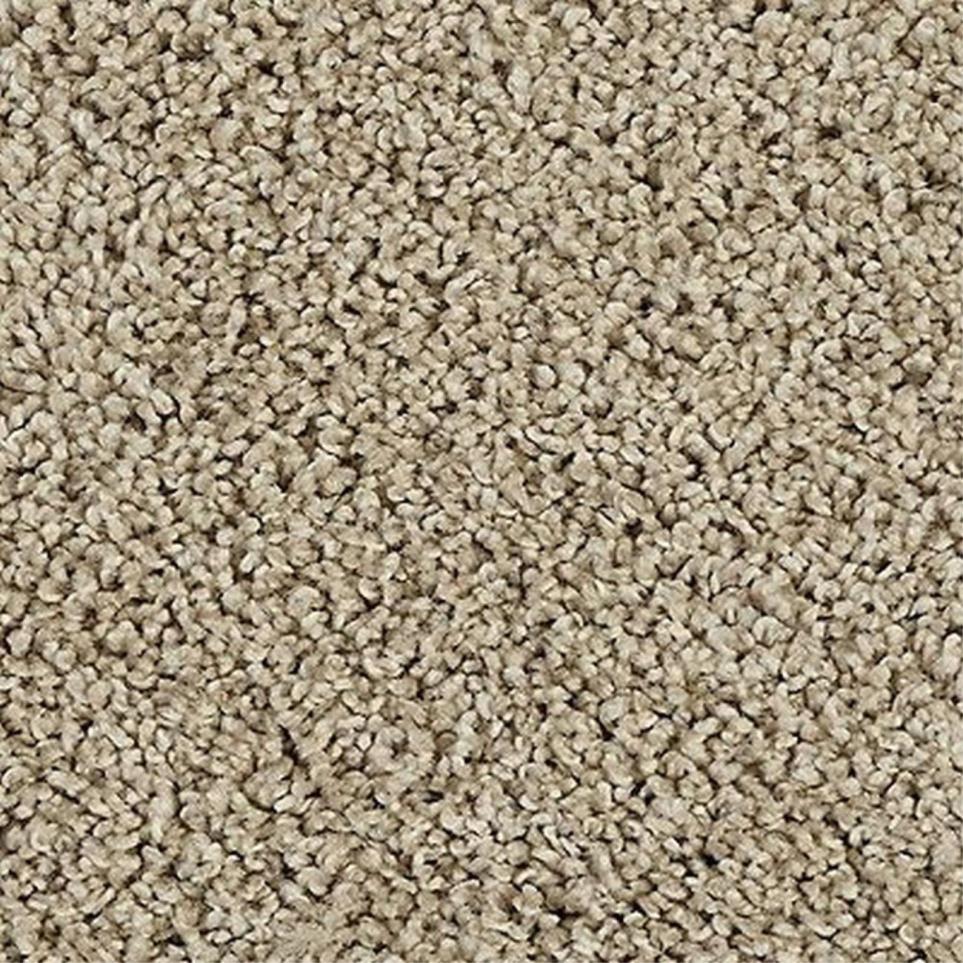 Cut Pile Brushed Fur Beige/Tan Carpet