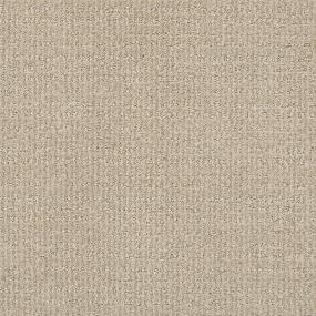 Pattern Fine Grain Beige/Tan Carpet