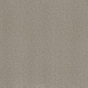 Textured Saxony Tower Beige/Tan Carpet