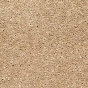 Textured Saxony Friendly Beige/Tan Carpet