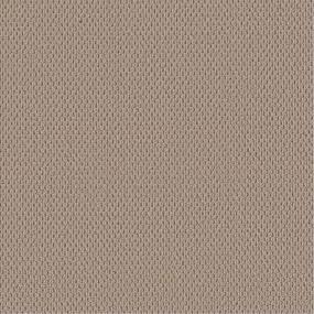 Berber Twine Beige/Tan Carpet