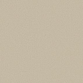Texture Champagne Beige/Tan Carpet