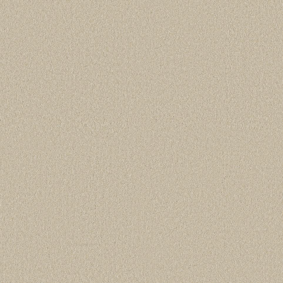 Texture Champagne Beige/Tan Carpet