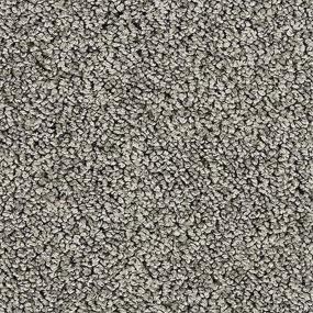 Textured Saxony Dark Shadows Gray Carpet
