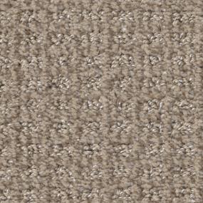 Pattern Serene Still Beige/Tan Carpet