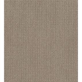 Pattern Serene Still Beige/Tan Carpet