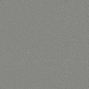 Textured Saxony Perfect Landing Gray Carpet