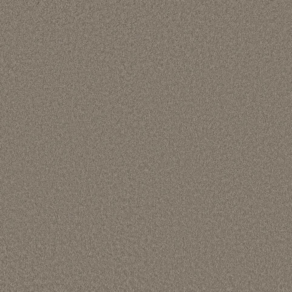 Texture Nuthatch Brown Carpet